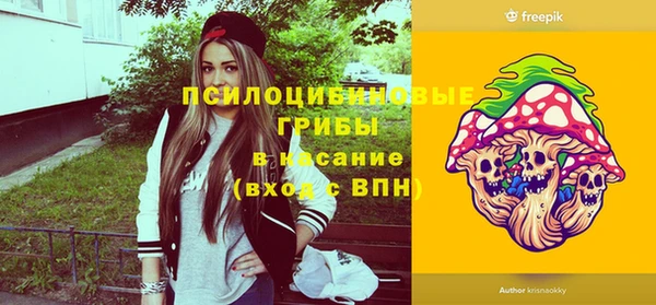 Альфа ПВП Алзамай