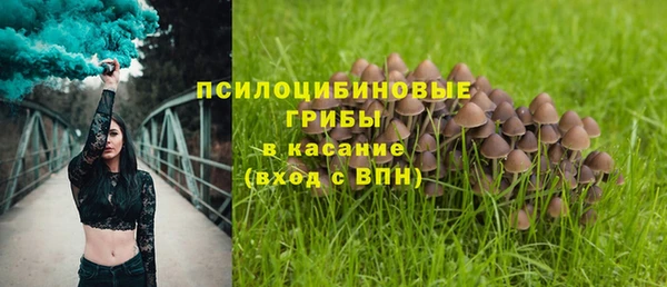 Альфа ПВП Алзамай