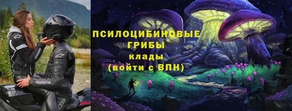 шишки Алексин