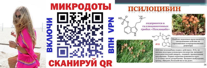 blacksprut как зайти  Трубчевск  Галлюциногенные грибы MAGIC MUSHROOMS 
